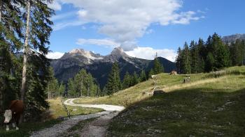 Am späten Nachmittag noch eine Geocache-Wanderung