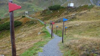 für Kinder aufgehübschter Wanderweg