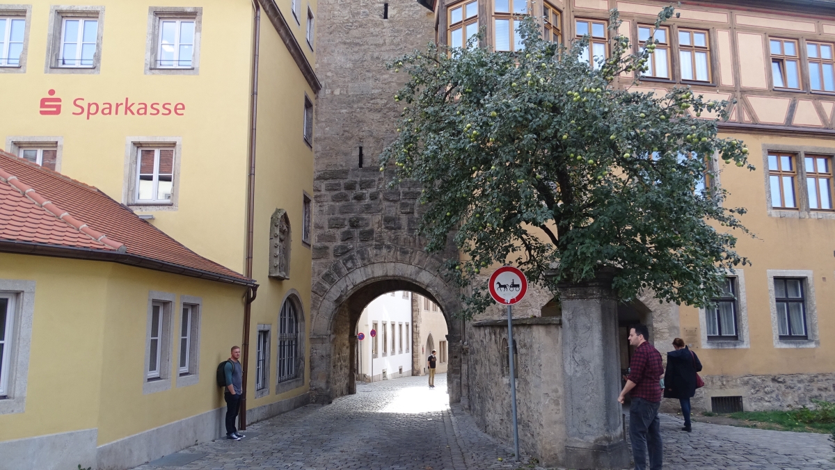 einer der vielen Obstbäume in der Altstadt