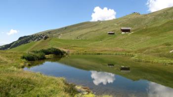 Spiegelung im Lech da Iman