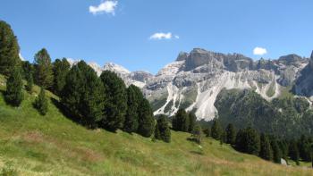 Baumgrenze erreicht