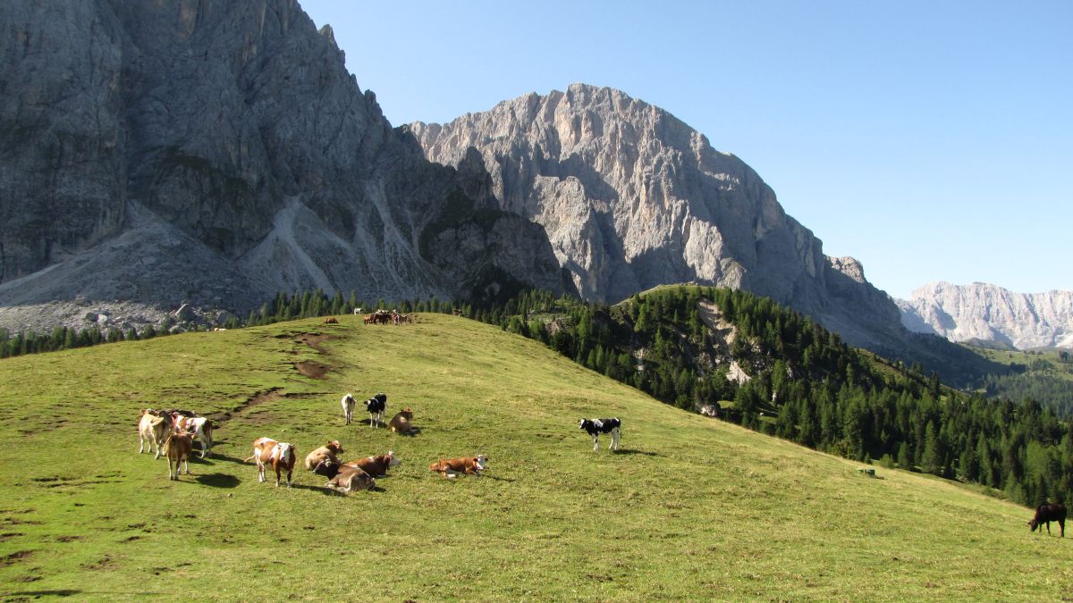 der kleine Hügel dort hinten ist der Piz Ciaulong 