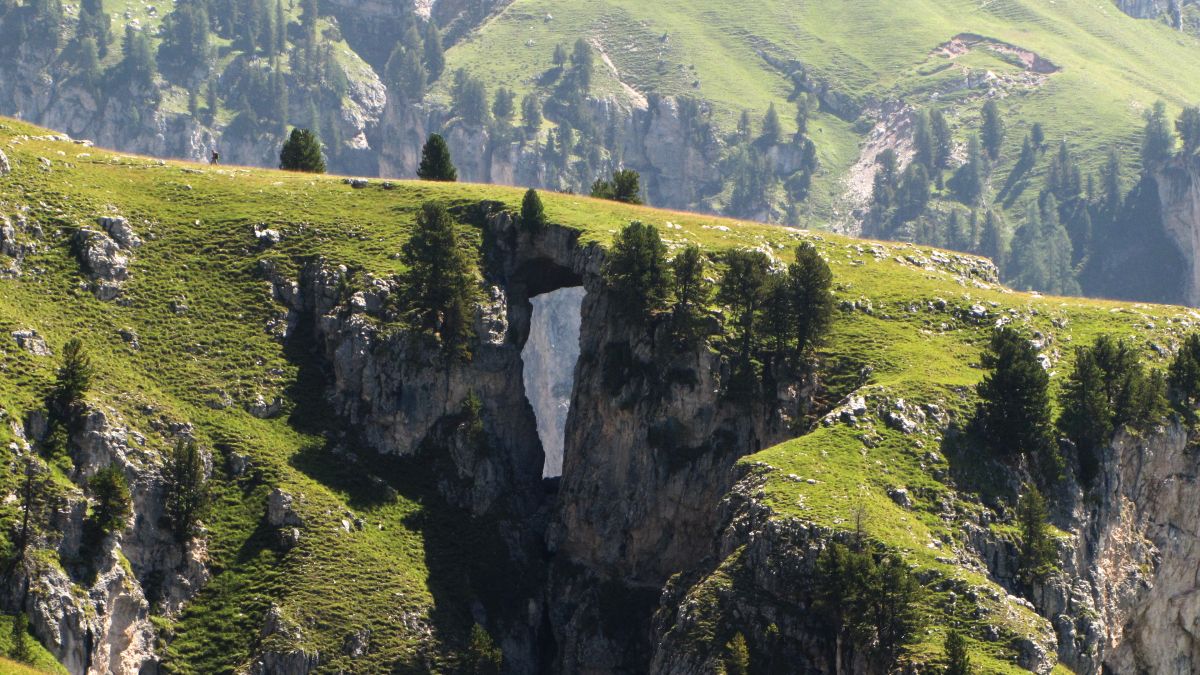 Naturbrücke