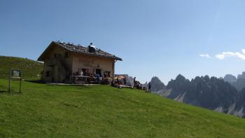 Stevia-Hütte