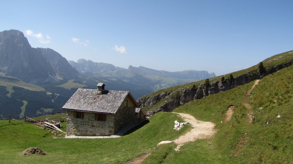 Stevia-Hütte