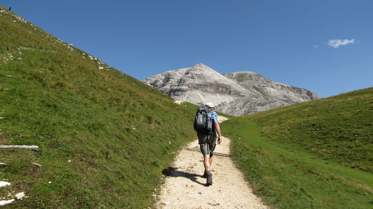 Weg zum Stevia-Gipfel