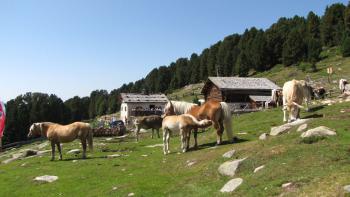 Baita Cason Hütte