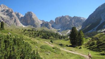 Weg zur Regensburger Hütte