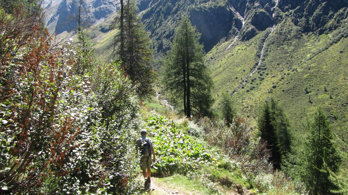 Wanderung zur Brugger Alm