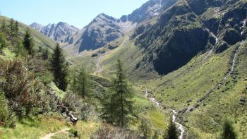 Wanderung zur Brugger Alm