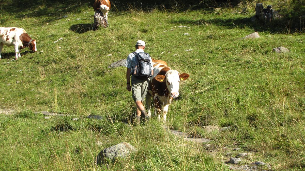 Tierische Begegnungen