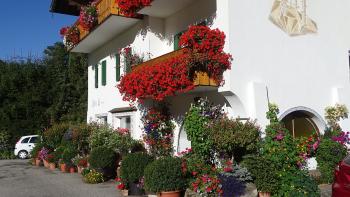 Blütenpracht in Wolkenstein-Daunëi