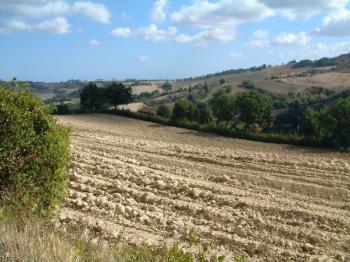 Landschaft in den Marken