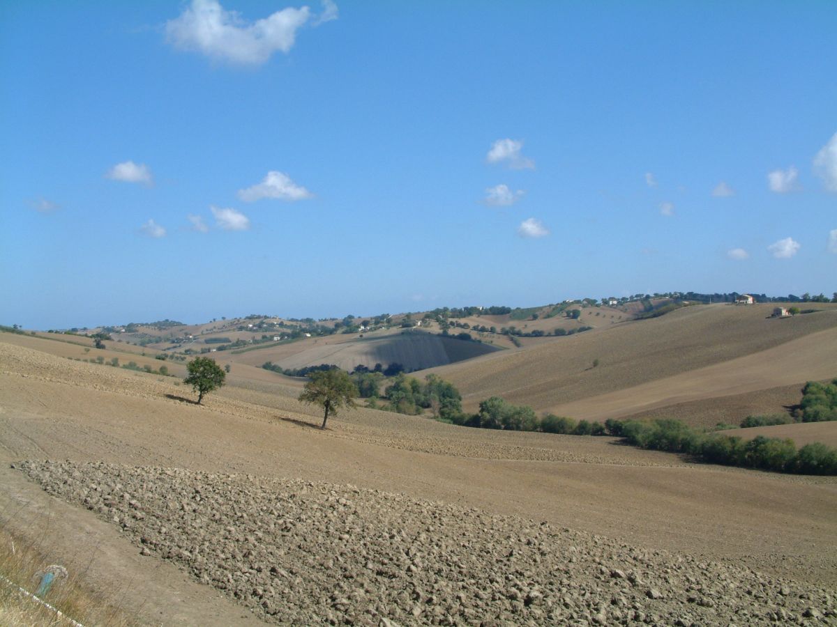 Landschaft bei Ancona