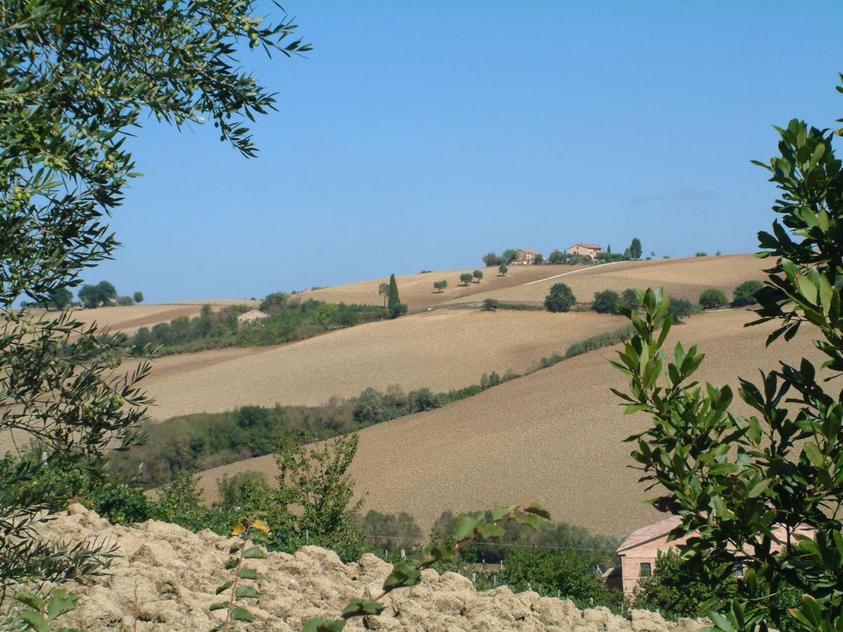 irgendwo zwischen Corinaldo und Loreto