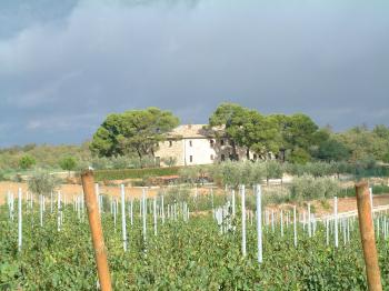 irgendwo auf dem Weg nach Orvieto