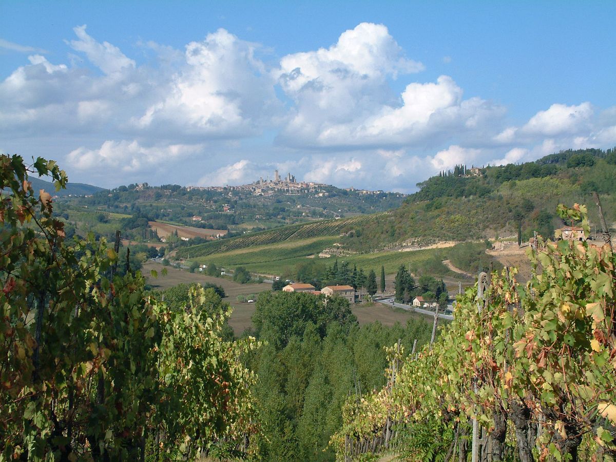 Blick auf San Gimignano