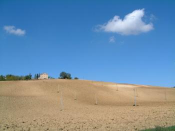 Landschaft bei Ancona
