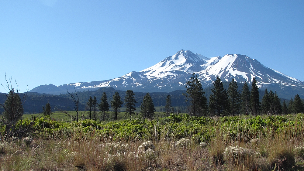 Mt. Shasta von Norden