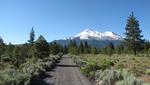 Mt. Shasta