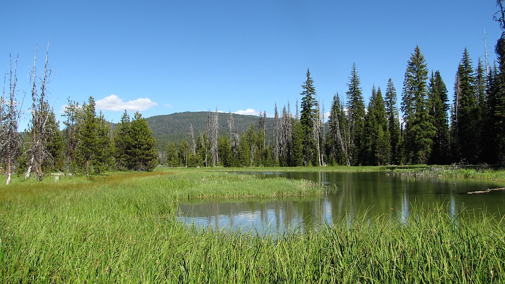 Deschutes National Forest