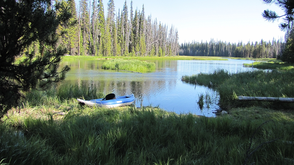 Deschutes National Forest