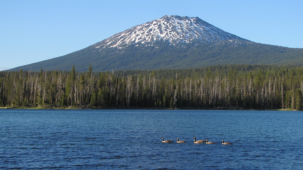 Mt. Bachelor mit Kanadagänsen (?)