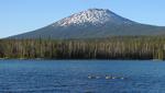 Mt. Bachelor mit Kanadagänsen (?)