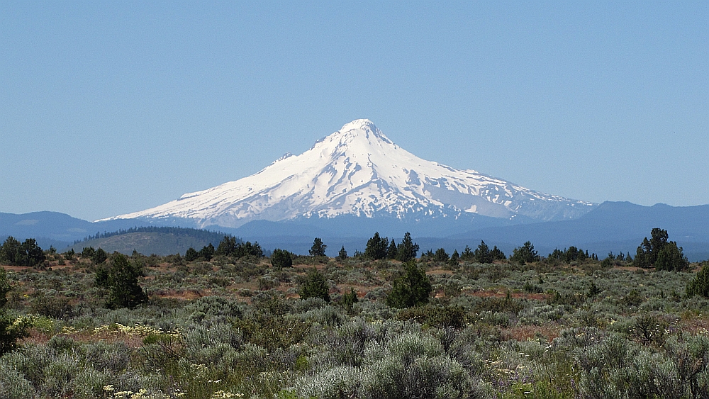 Mt. Hood