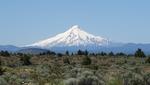 Mt. Hood