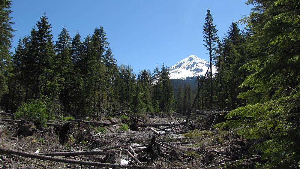 Mt. Hood