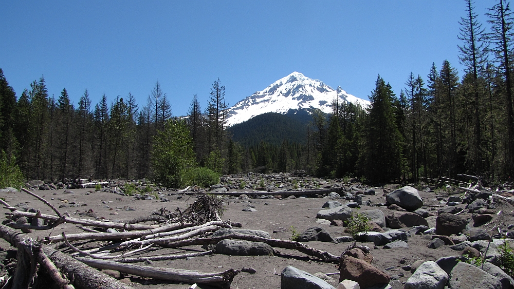 immer wieder imposant, Mt. Hood