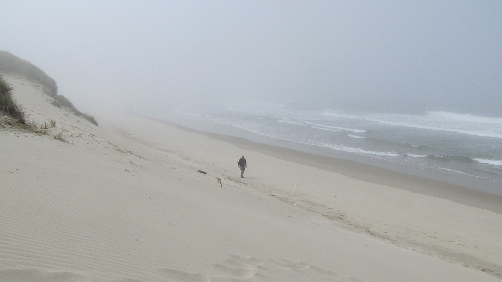 Dünen im Nebel