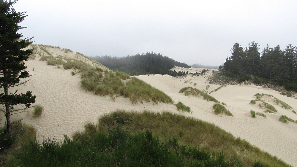 Oregon Dunes