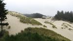 Oregon Dunes