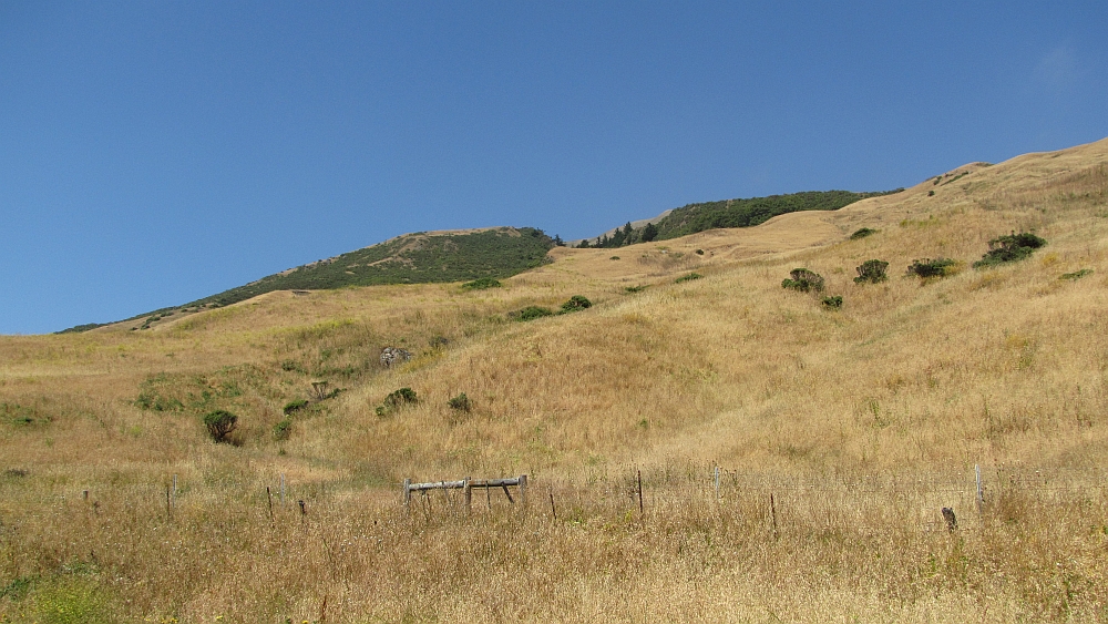 Baumlose Landschaft