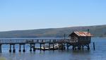 Tomales Bay