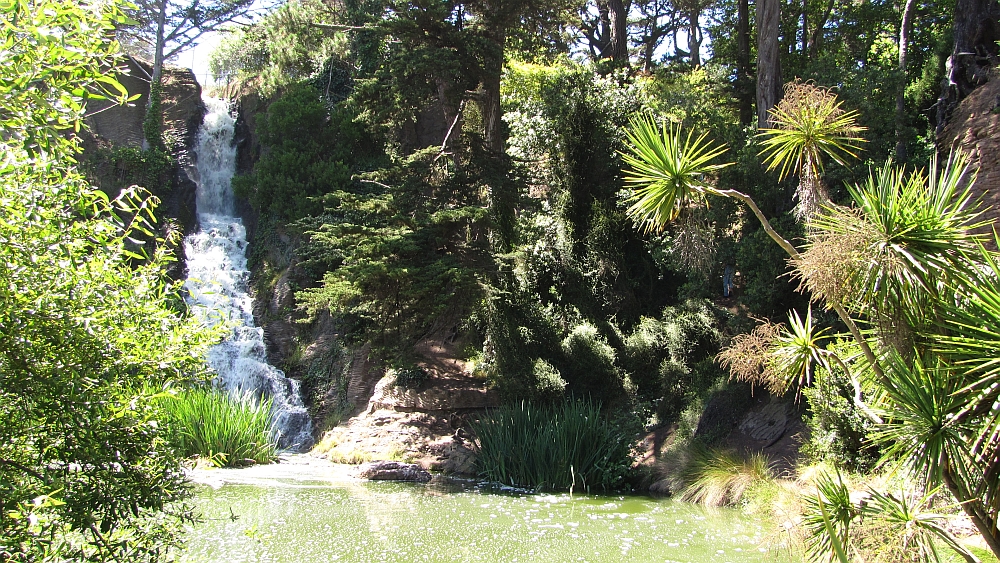 Golden Gate Park- Wasserfall